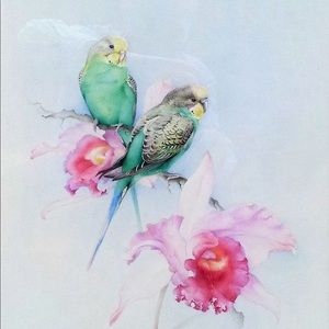 Meet your Posher, Brie